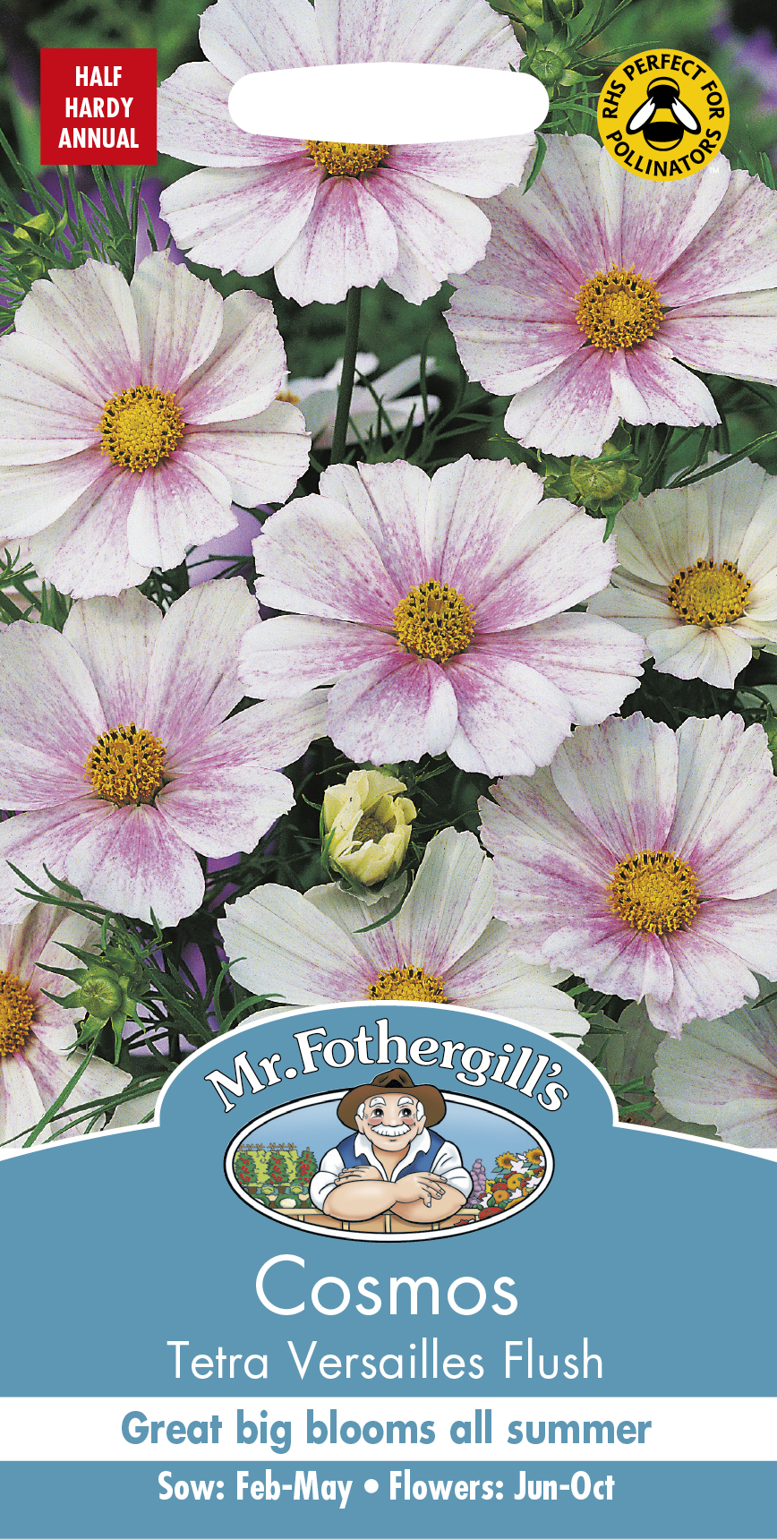 Rosenskära 'Cosmos Tetra Versailles Flush', frö - Fröer