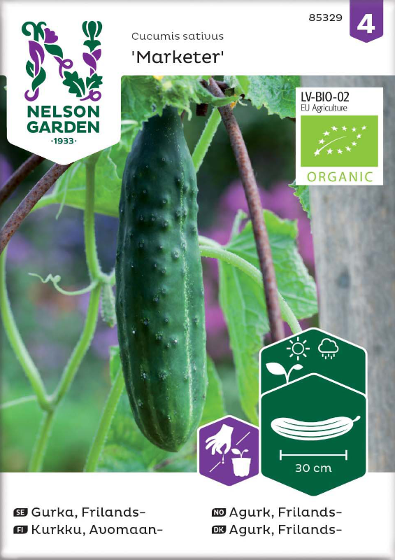Frilandsgurka 'Marketer' Organic frö - Fröer