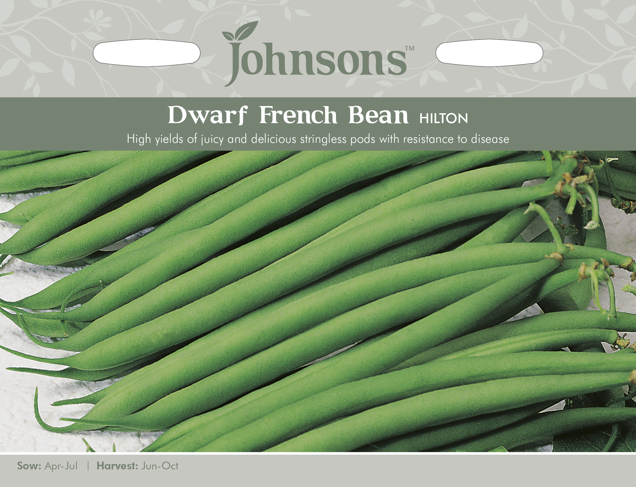 Brytböna French Bean 'Hilton' - Fröer