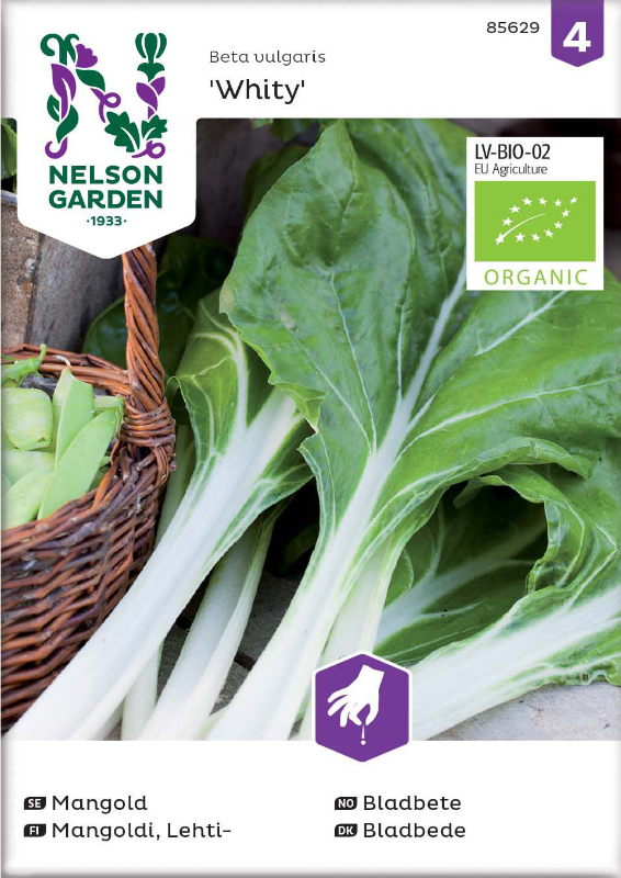 Mangold 'White silver 3'  Organic frö - Fröer