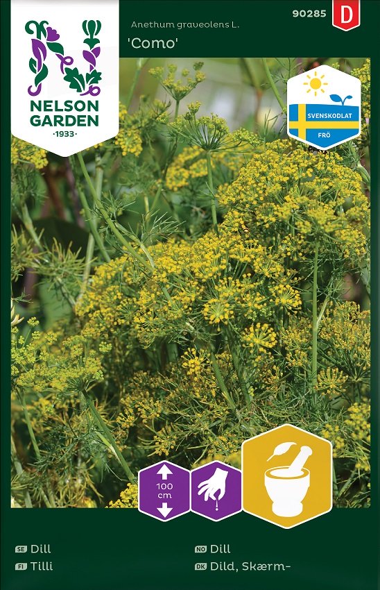 Dill Ursprung Sverige - Fröer