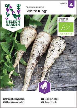 Palsternacka 'White King' Organic frö - Fröer