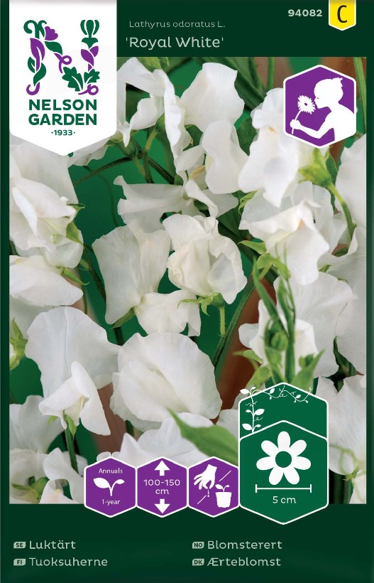 Luktärt 'Royal White' frö - Fröer