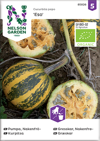 Pumpa 'Eso' Organic frö - Fröer