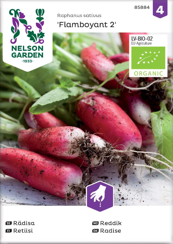 Rädisa 'Flamboyant 2' Organic frö - Fröer