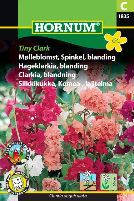Clarkia Mix 'Tiny Clark' frö - Fröer
