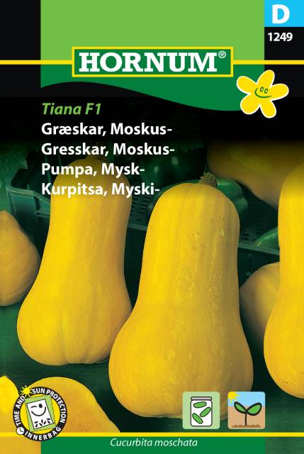Pionaster 'Opus' frö - Fröer