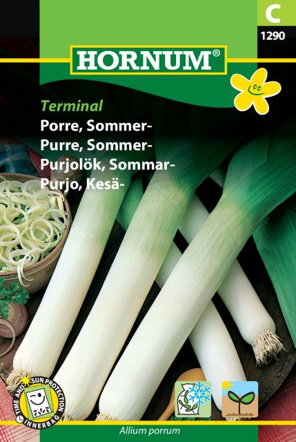 Purjolök 'Terminal' frö - Fröer