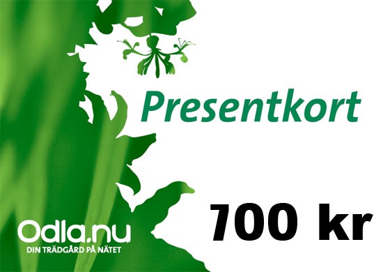 Presentkort 700 - Fröer