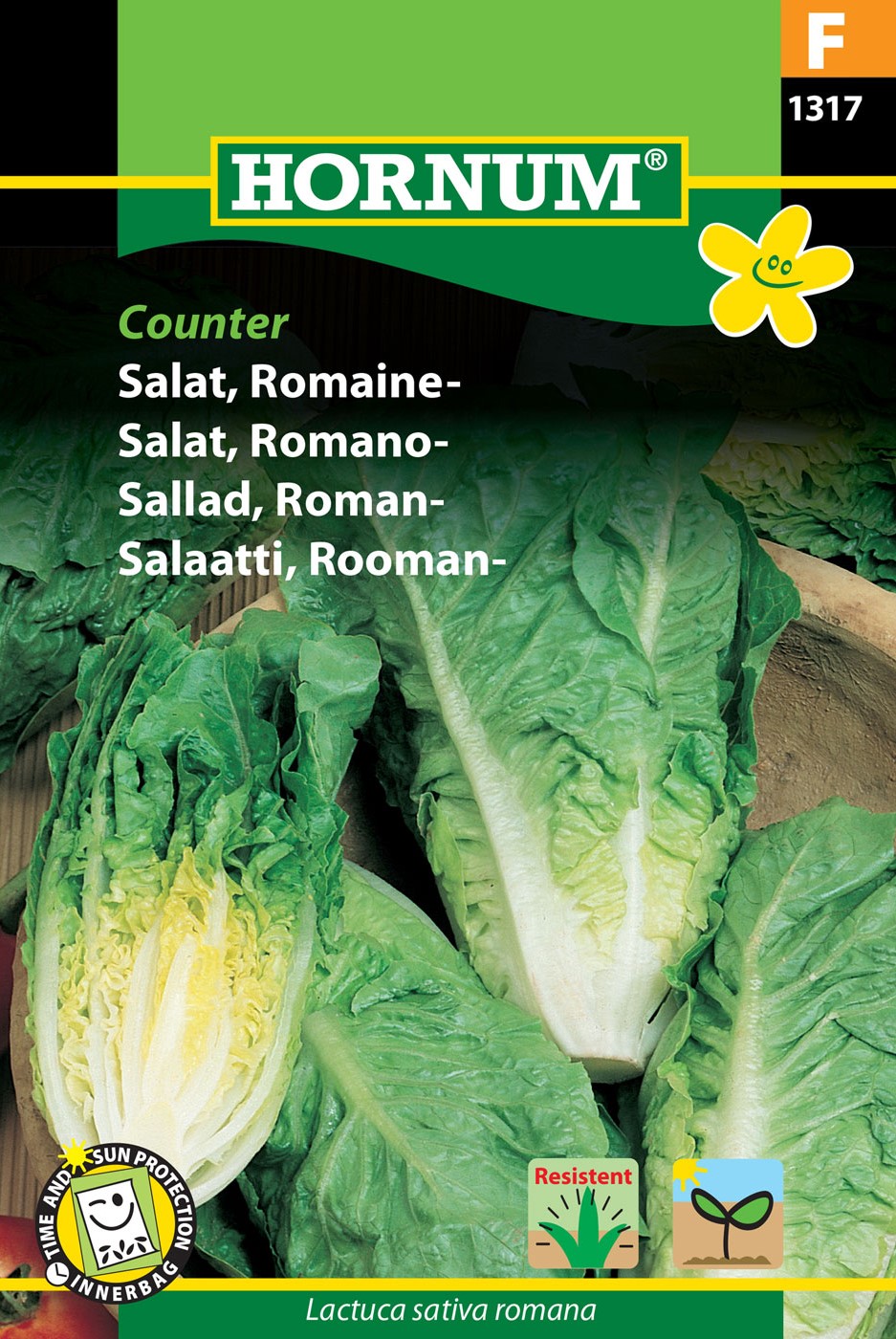 Romansallat 'Xandu' frö - Fröer