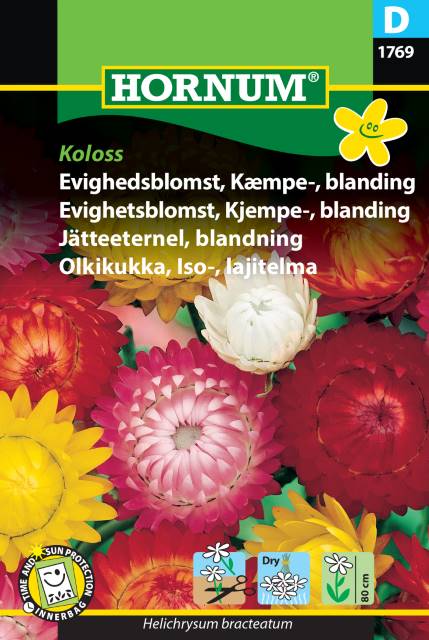 Jätteeternell Mix 'Koloss' - Fröer