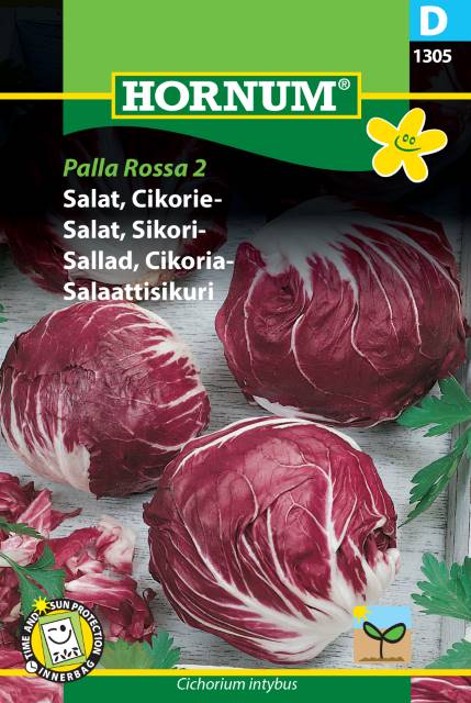 Salladscikoria 'Palla Rossa 2' frö - Fröer