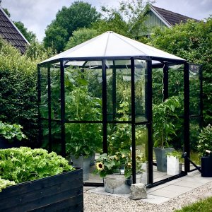 Växthus Merkurius - 3,7 m² + Växthusrengöring