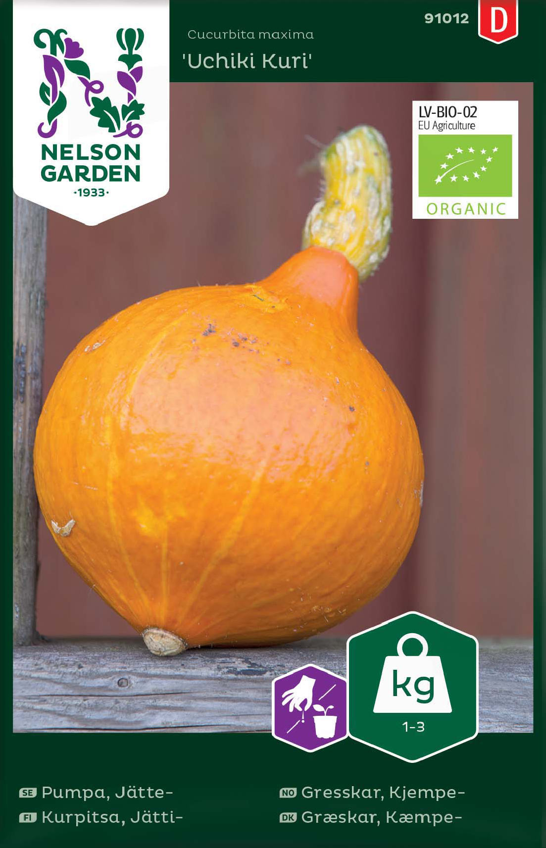 Jättepumpa 'Uchiki Kuri' Organic frö - Fröer