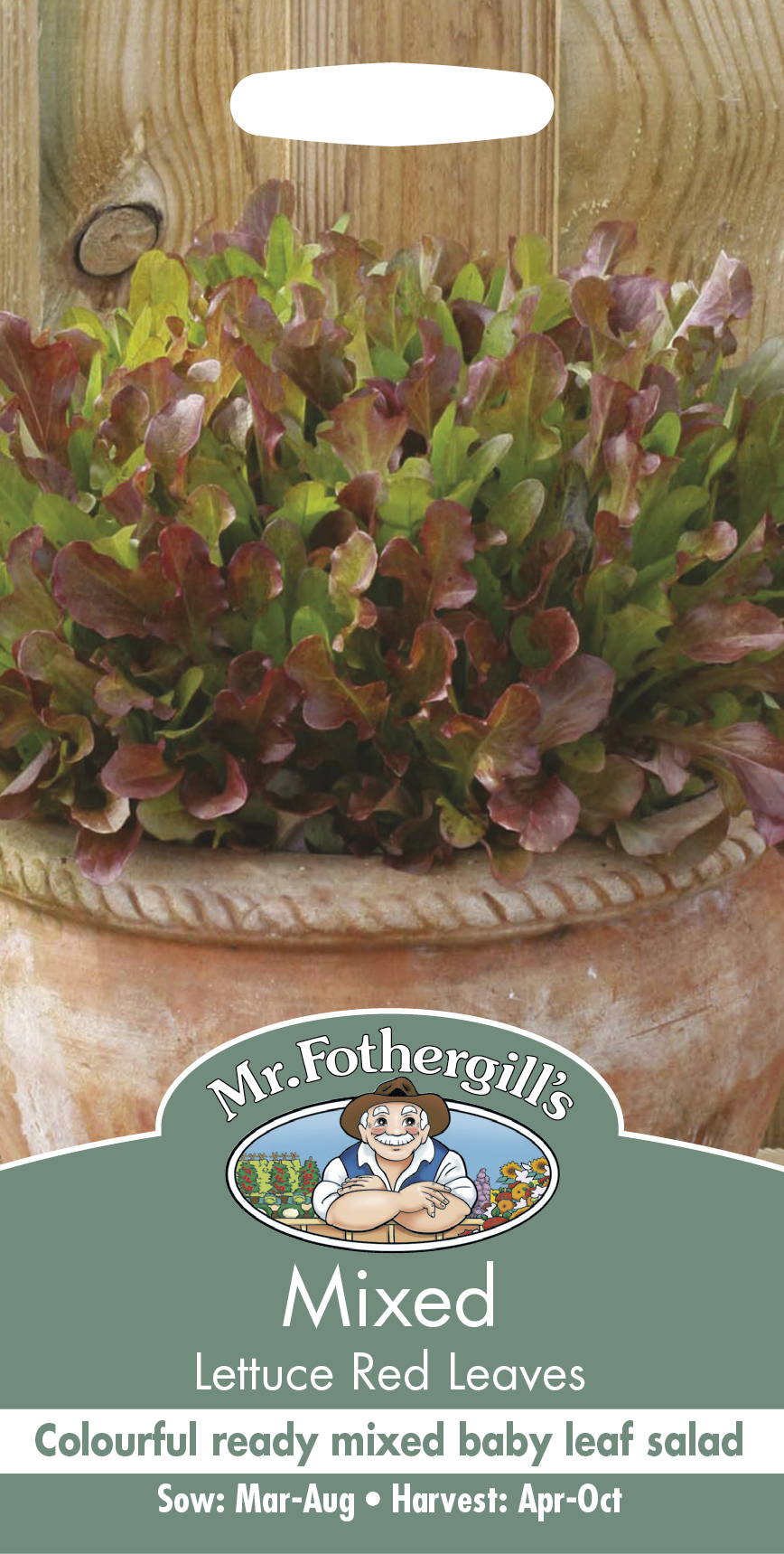 Plocksallat 'Red Leaves' - Fröer