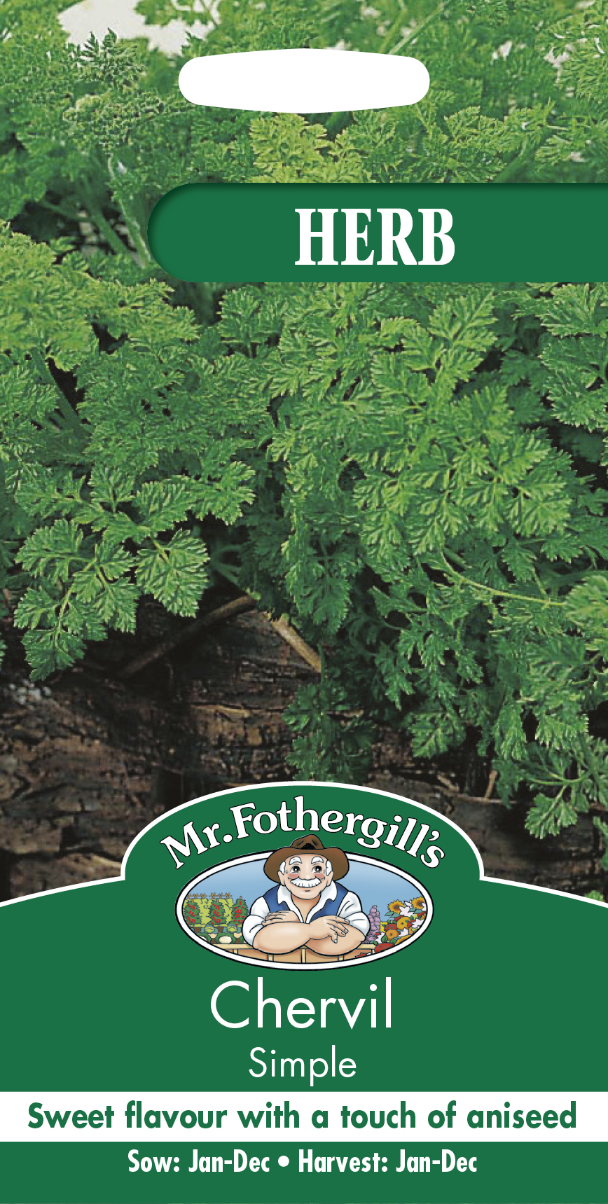 Trädgårdskörvel 'Simple' frö - Fröer