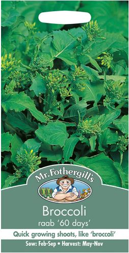 Broccoli 'Rybs 60 days' - Frö - Fröer