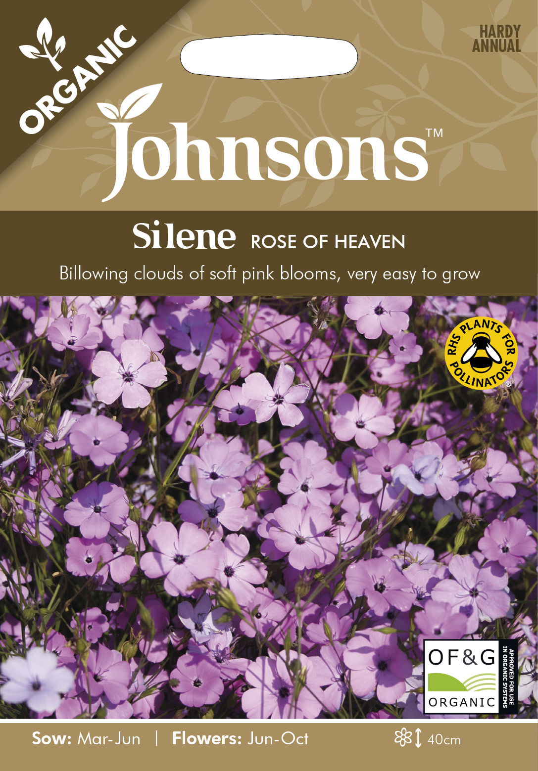 Nejlikglim 'Roses of Heaven' - Fröer