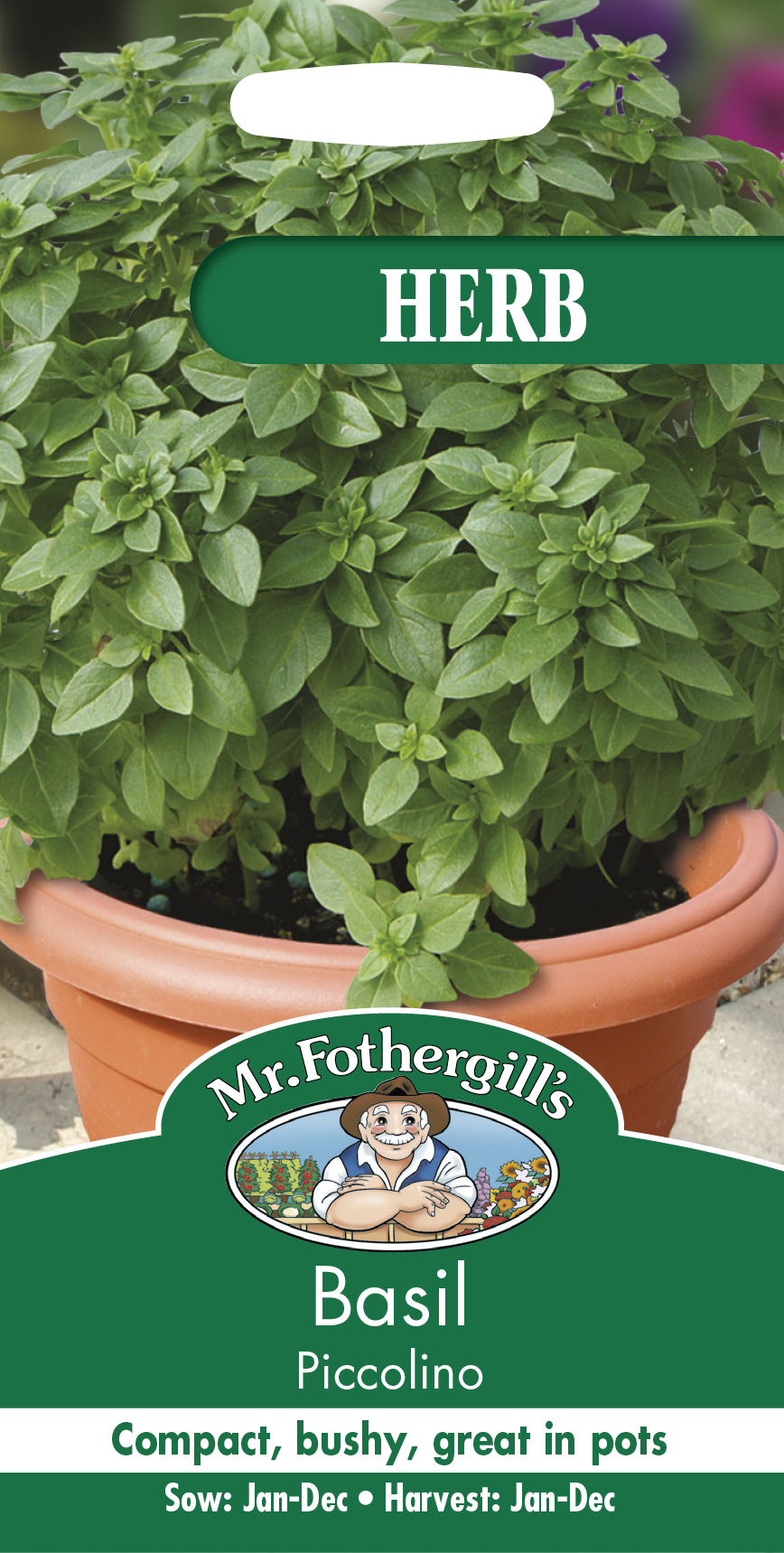 Basilika 'Piccolino' frö - Fröer