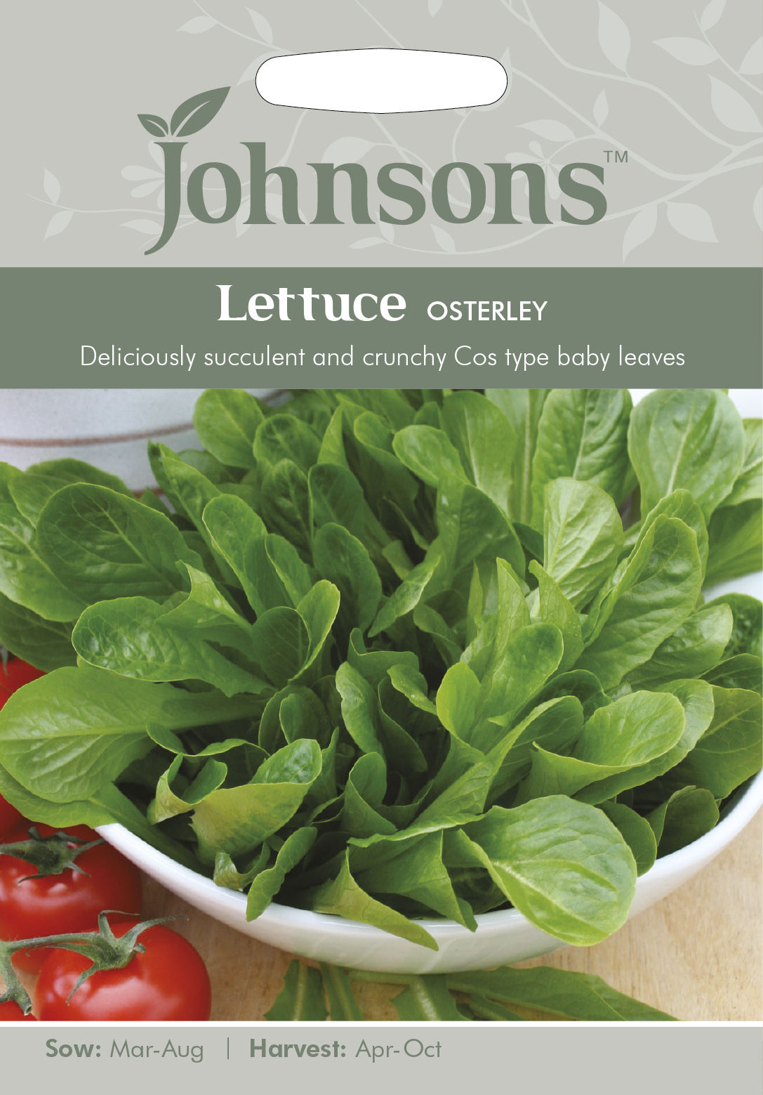 Sallat 'Osterley' - Fröer