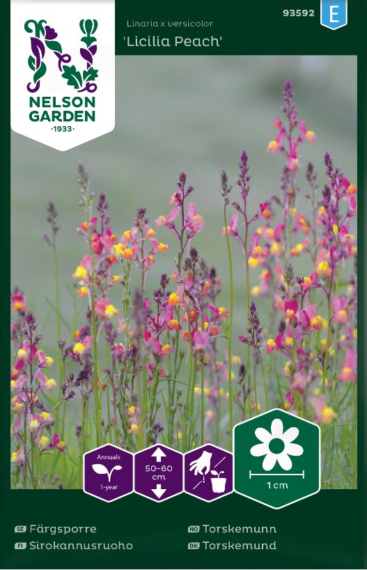 Färgsporre 'Licilia Peach' frö - Fröer