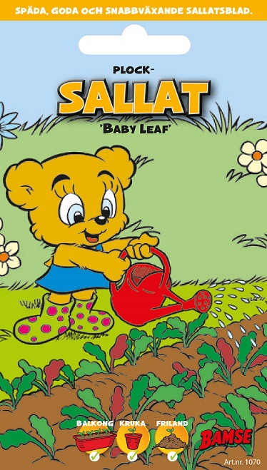 Plocksallat 'Baby Leaf' 1st fröpåse - Fröer