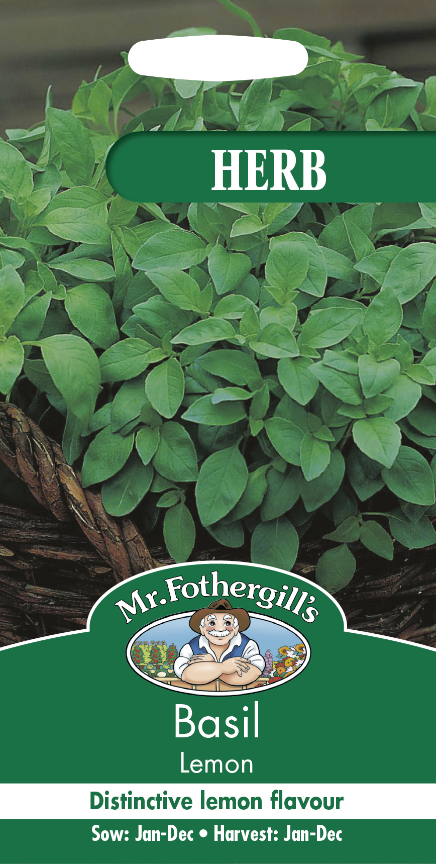 Basilika 'Lemon' frö - Fröer