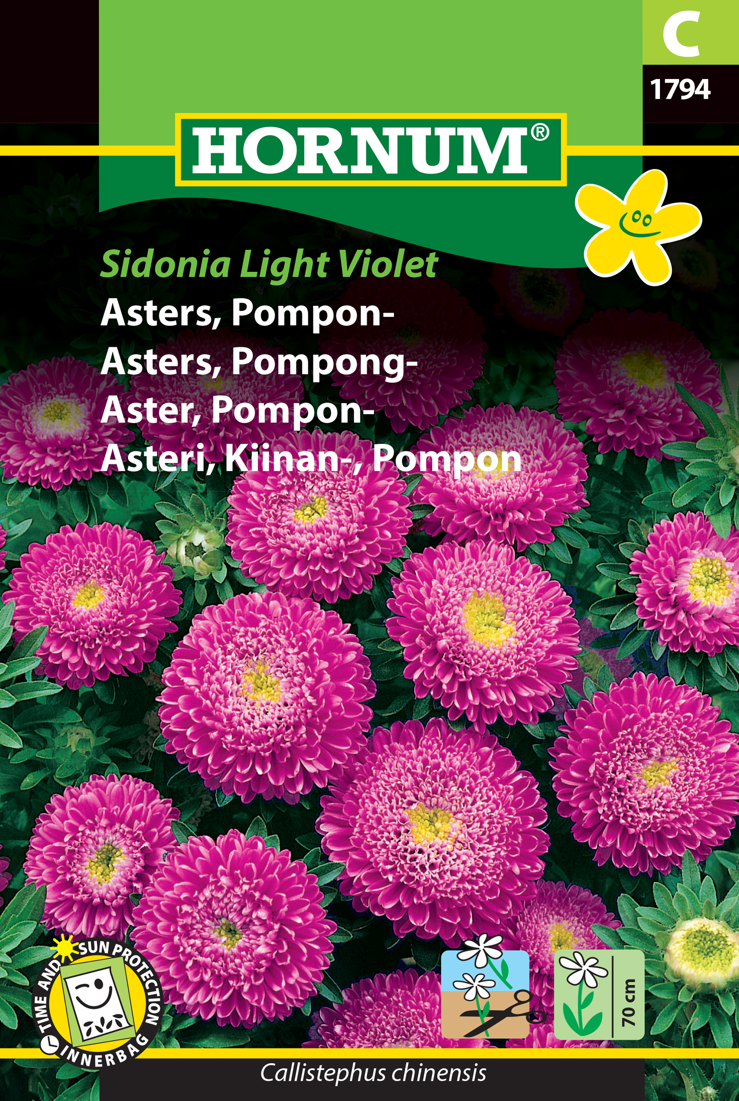 Pomponaster 'Light Violet' frö - Fröer