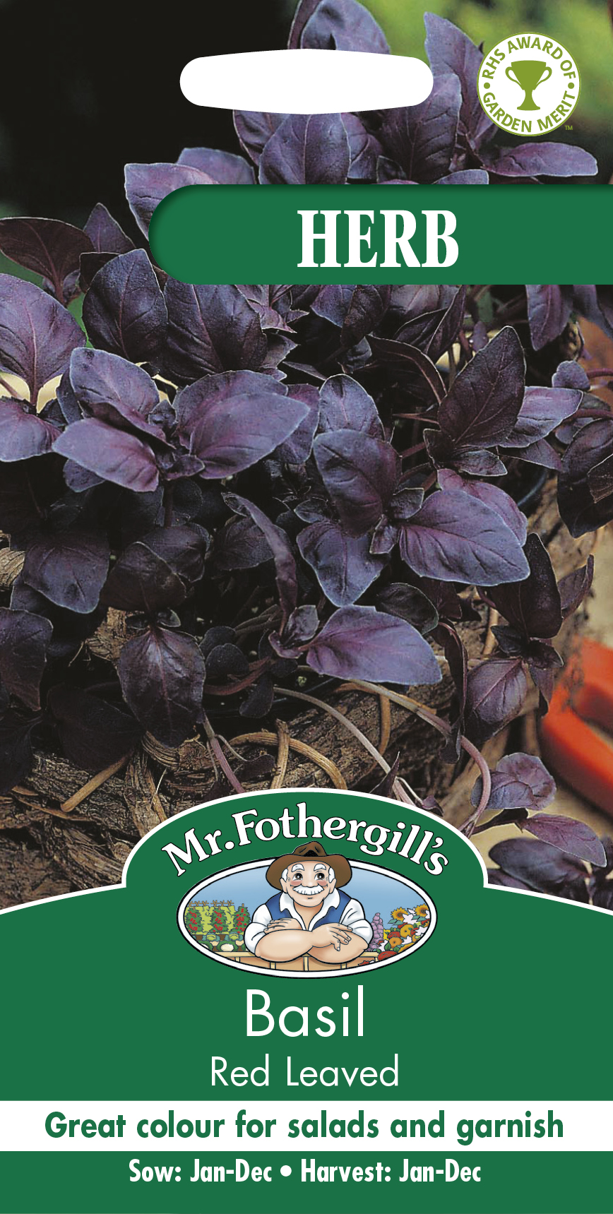 Basilika 'Red Leaved' frö - Fröer