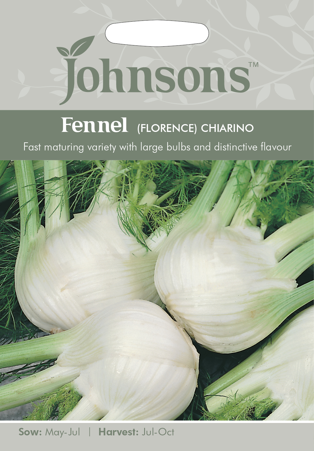 Fänkål 'Chiarino' - Fröer