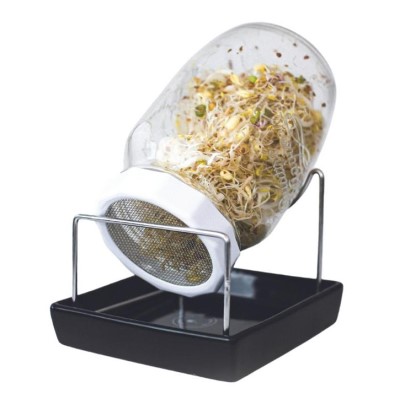 Luktärt 'Sugar n Spice' Mix - Fröer