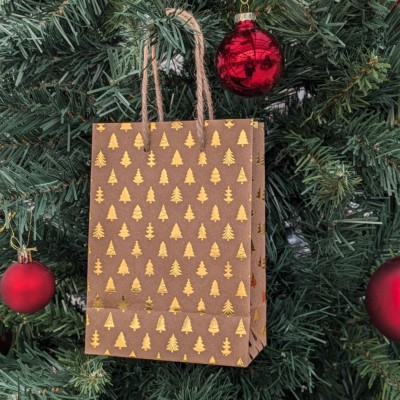 Fröpaket med 6 olika fröer - Fröer