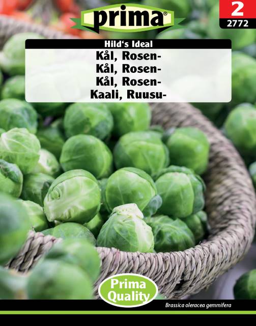 Brysselkål 'Groninger / Hild's Ideal', frö - Fröer