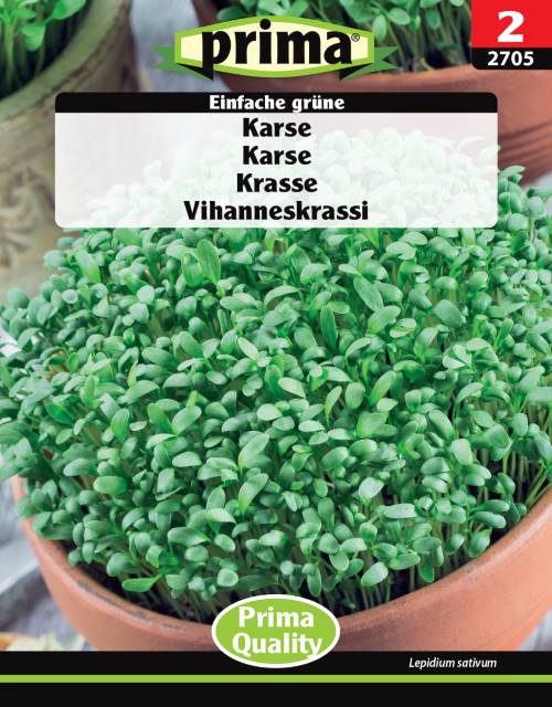 Krasse 'Einfache Grüne', frö - Fröer