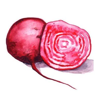 Rödbeta 'Chioggia' Svenskodlat frö - Fröer