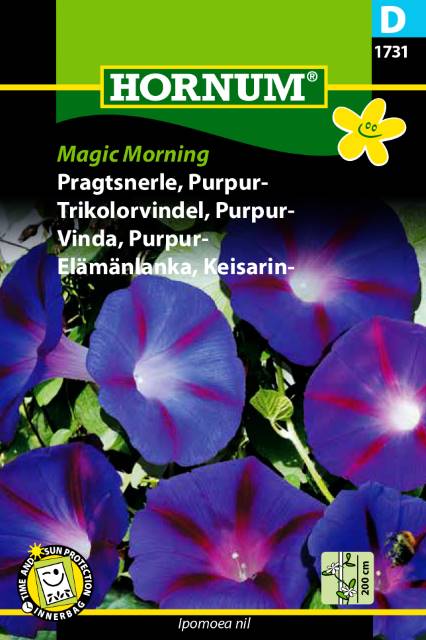 Purpurvinda 'Magic Morning' - Fröer