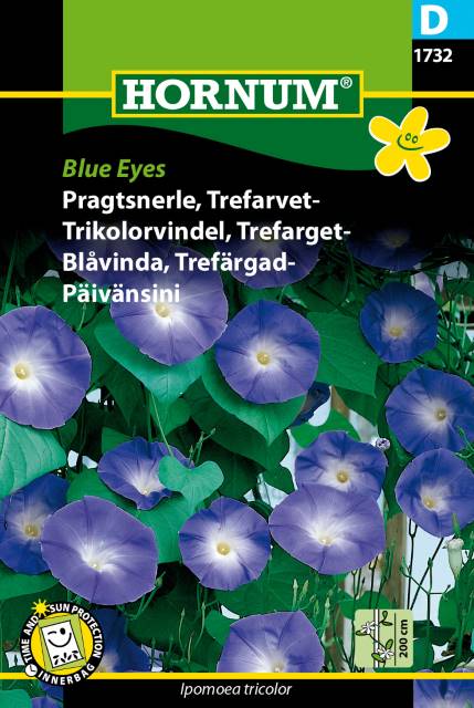 Blåvinda 'Blue Eyes' - Fröer