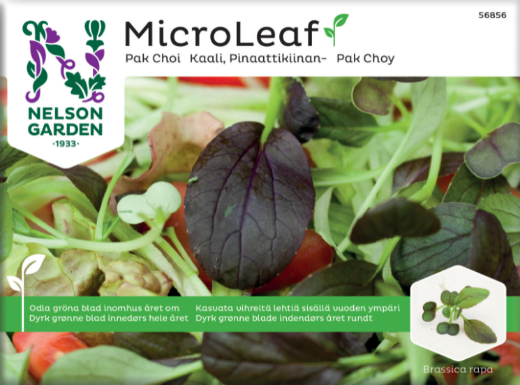 Micro Leaf 'Pak Choi' - Fröer