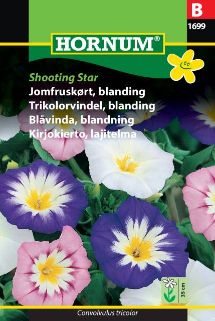 Blåvinda Mix 'Shooting Star' - Fröer
