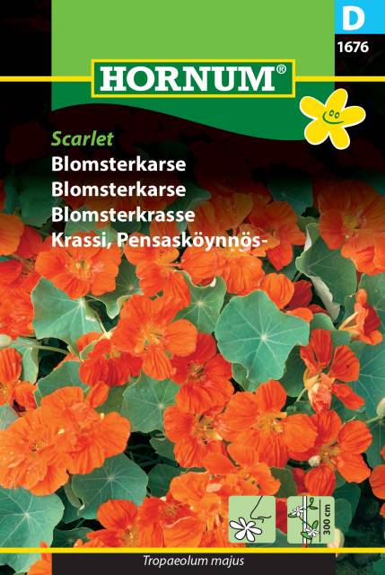 Blomsterkrasse 'Scarlet' - Fröer