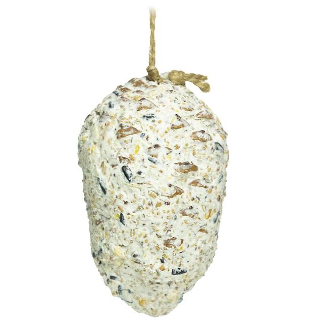 Fylld Pinjekotte - 350g - Fröer