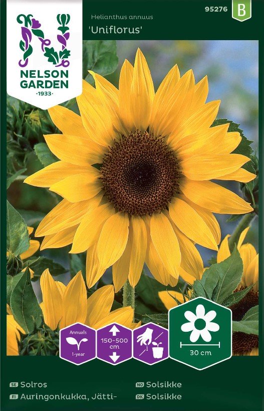 Sommarflox Mix 'Cecily' - Fröer