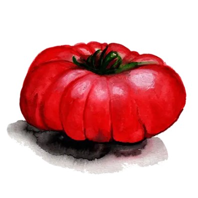 Biffftomat 'Arctic Rose' Svenskodlat frö - Fröer