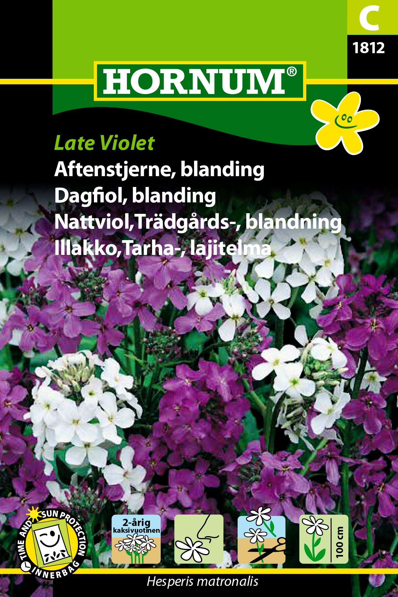 Trädgårdsnattviol Mix 'Late Violet' frö - Fröer
