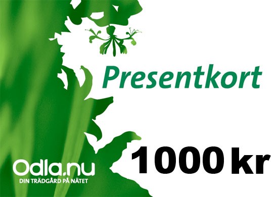 Presentkort 1000 - Fröer