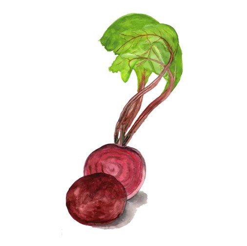 Rödbeta 'Jannis' Svenskodlat frö - Fröer