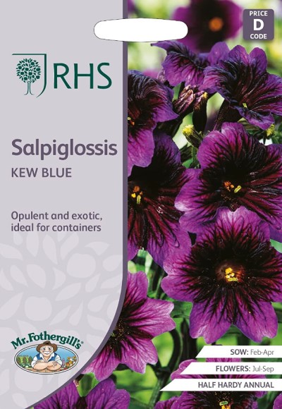 RHS Trumpetblomma 'Kew Blue' - Fröer