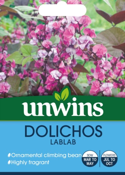 Hjälmböna 'Dolichos Lablab' - Fröer