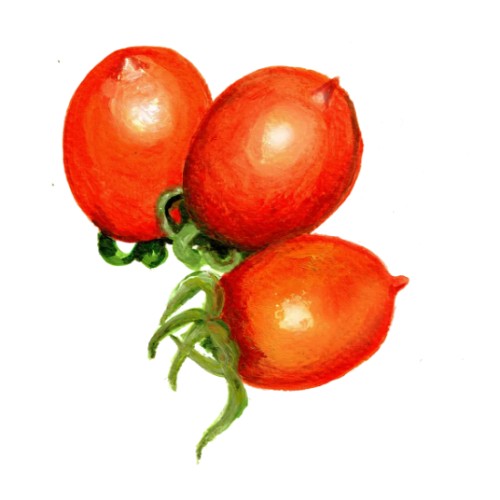 Tomat 'Ruthje' Svenskodlat frö - Fröer