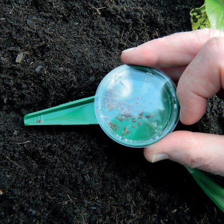 Sådosa Grön - Fröer